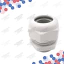 19000005194 thumbnail 3