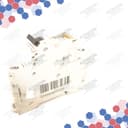243-12 thumbnail 3