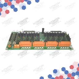 51309542-175 thumbnail 4