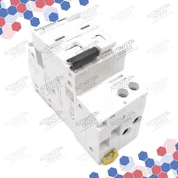 A9D31616 thumbnail 2