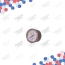 PAGN-26-10-P10 thumbnail 2