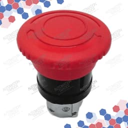 ZB4BS8447 thumbnail 2