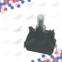 ZBVB13 thumbnail 3